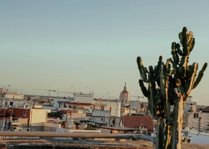 S. Martin ג'ובינאצו